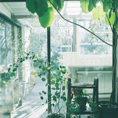 加拿大pc入口手机app下载截图